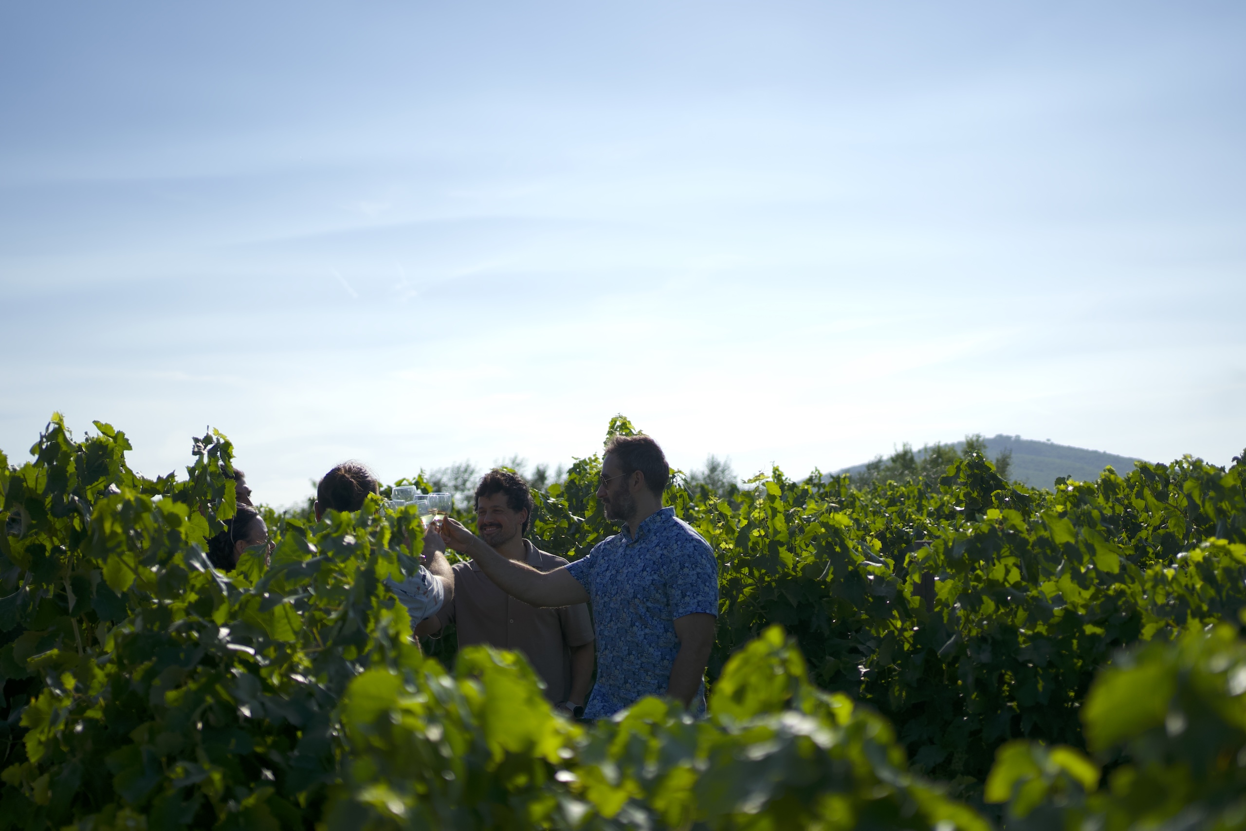 Grup de persones fent un brindis entre vinyes a la Masia L’Encís al Penedès