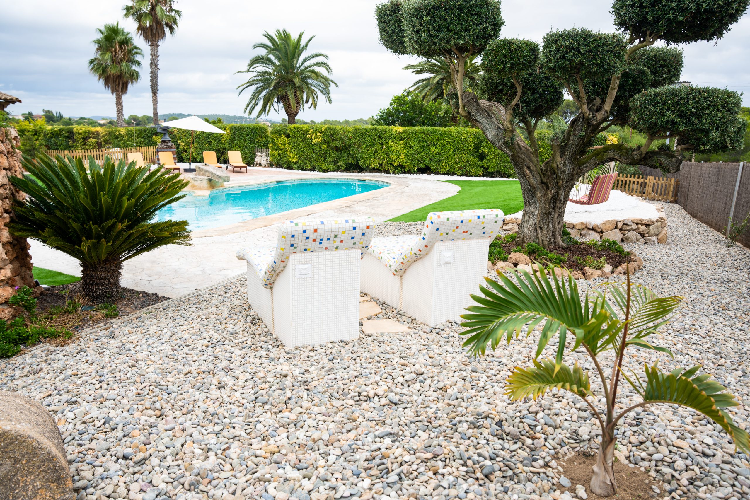 Gandules blanques davant la piscina i jardí amb olivera a la Masia L’Encís