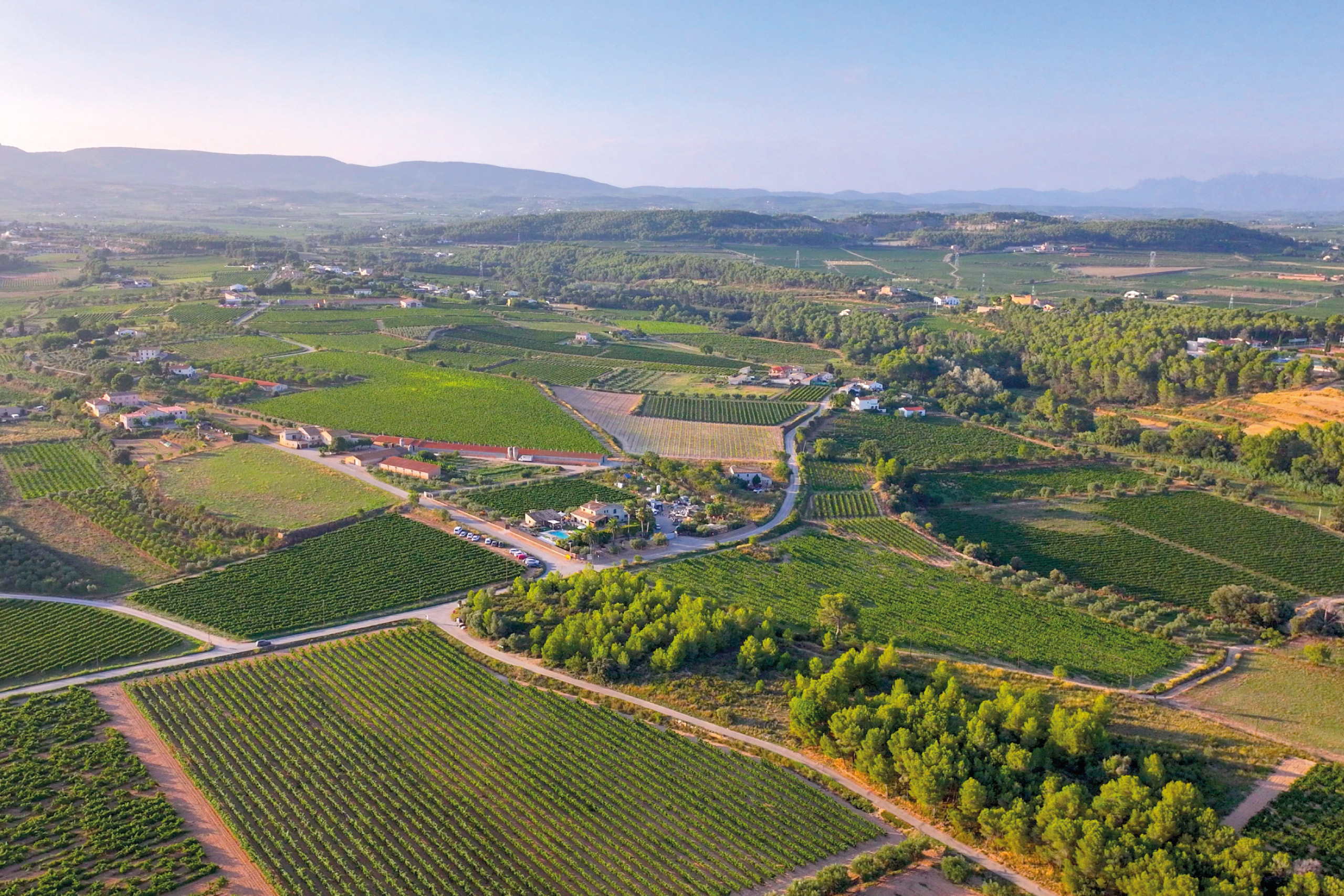 Vista aèria del Penedès amb vinyes, camins rurals i la Masia L’Encís al centre del paisatge.